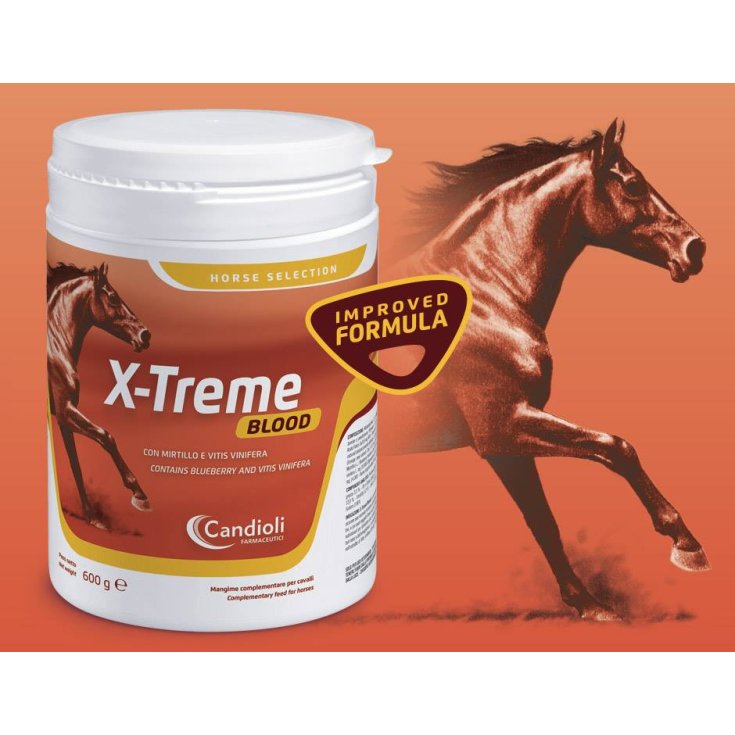 X-treme Blut 600g