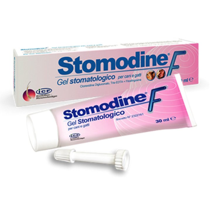 Icf Stomodine F Stomatologisches Gel 30ml