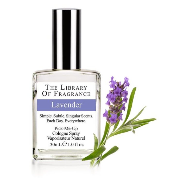The Library Of Fragrance Lavendelduft 30ml