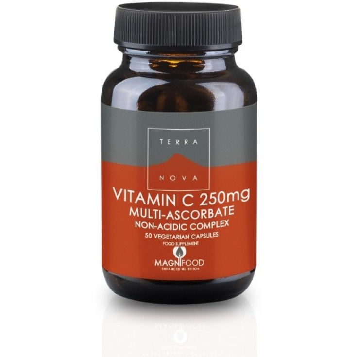 Terra Nova Vitamin C 250 mg Nahrungsergänzungsmittel 50 Kapseln