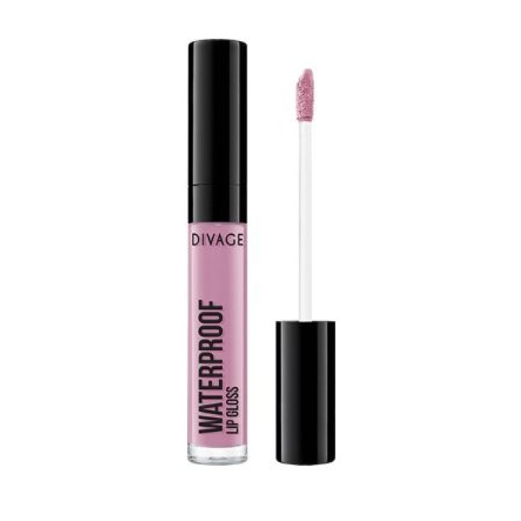 Divage Waterproof Long Lasting Lip Gloss 01 Antikrosa