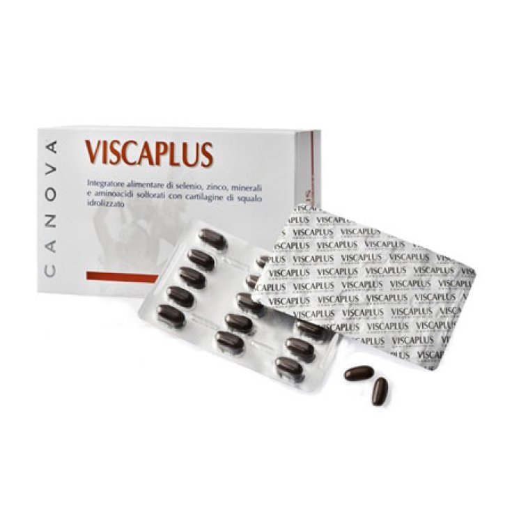 Canova Viscaplus Nahrungsergänzungsmittel 60 Softgel-Kapseln