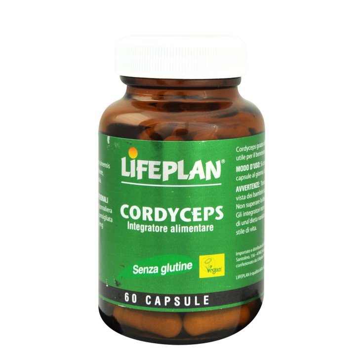 Lifeplan Products Cordyceps Nahrungsergänzungsmittel glutenfrei 60 Kapseln