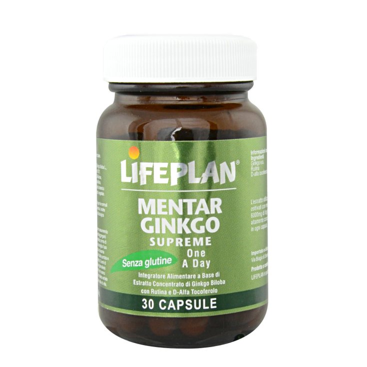 Lifeplan Mentar Ginkgo Supreme One a Day Nahrungsergänzungsmittel 30 Kapseln