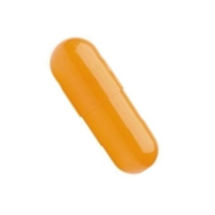 Kapsel 0 Orange 1000 Stück