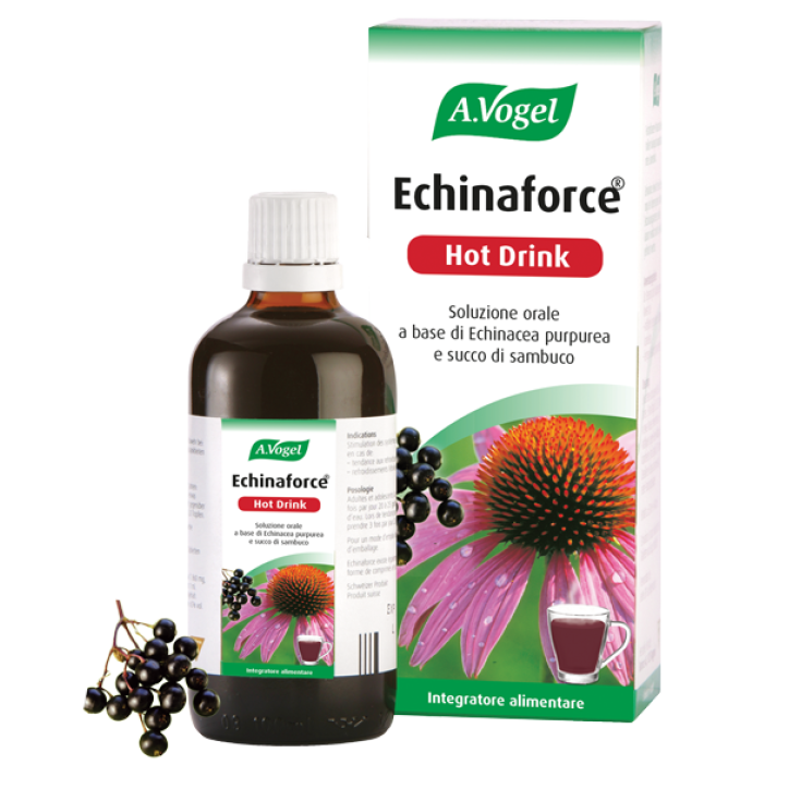 Echinaforce Hot Drink Nahrungsergänzungsmittel 100ml