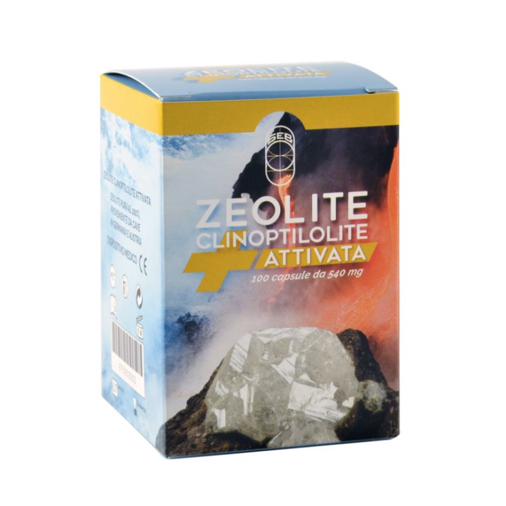 Gesundheit und Wellness Point Zeolith Klinoptilolith aktiviert 100 Kapseln mit 540 mg