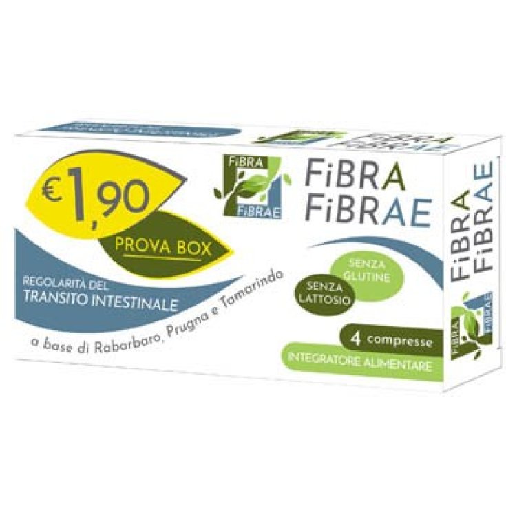 Fibra Fibrae Nahrungsergänzungsmittel 4 Tabletten