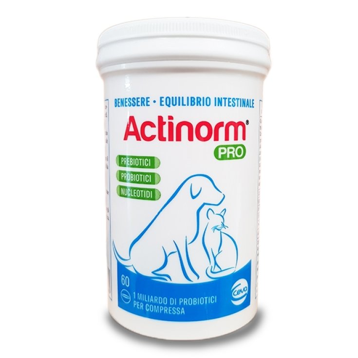 Actinorm Pro 60 Tabletten