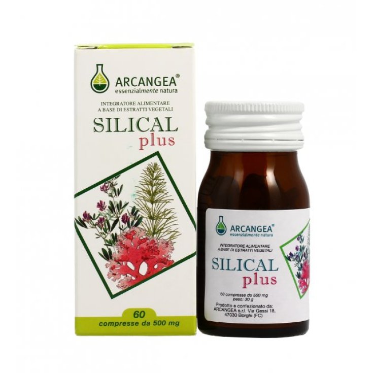 Silical Plus Nahrungsergänzungsmittel 60 Tabletten