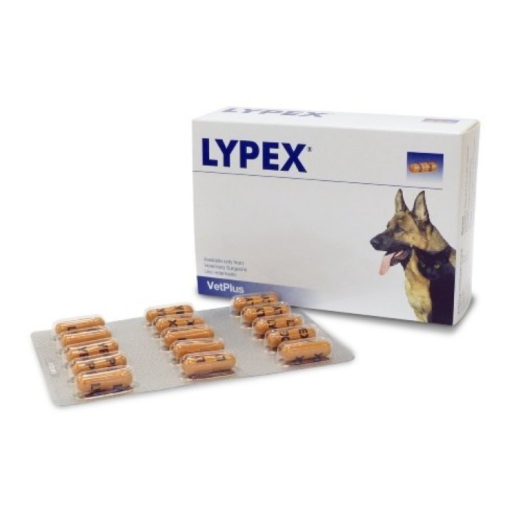 VetPlus Lypex-Ergänzung für Haustiere 60 Tabletten