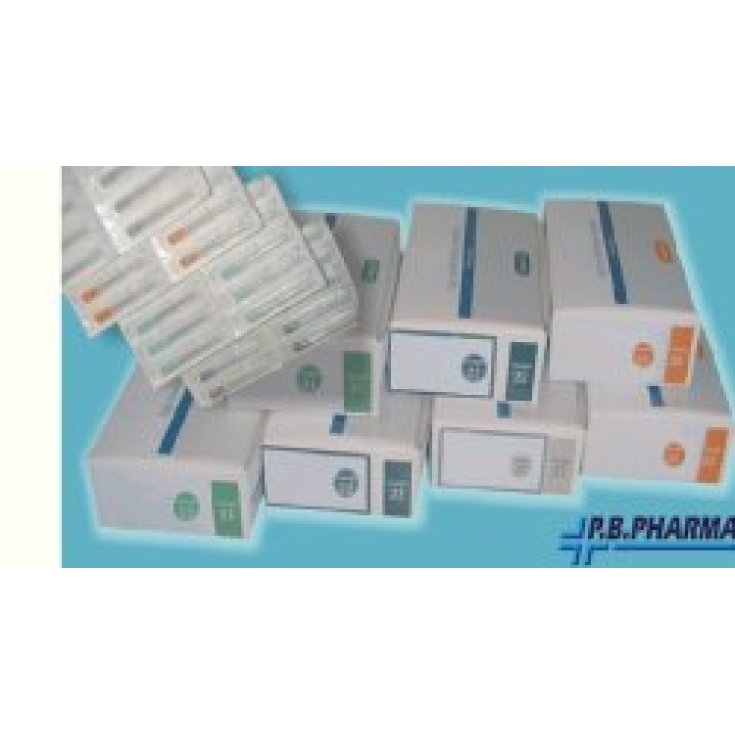Nadel für Insulinspritze Gauge 25 PB Pharma 100 Stück