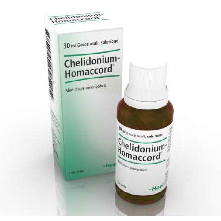 Chelidonium Homaccord Fersentropfen 30ml