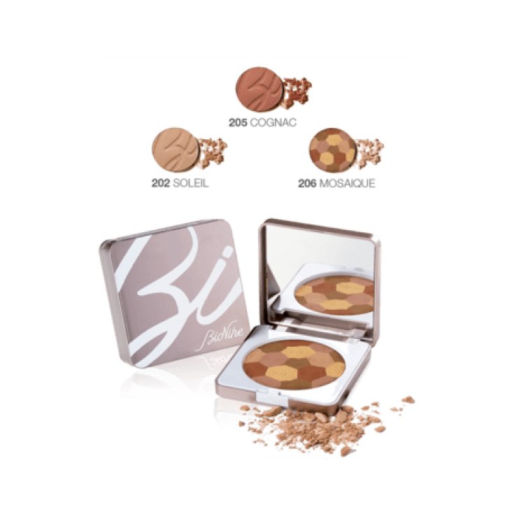 Defense Color Sun Touch Compact Earth 205 Cognac BioNike 10g