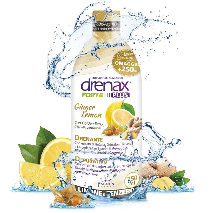 Drenax® Forte Ingwer Zitrone Plus Paladin Pharma 750ml