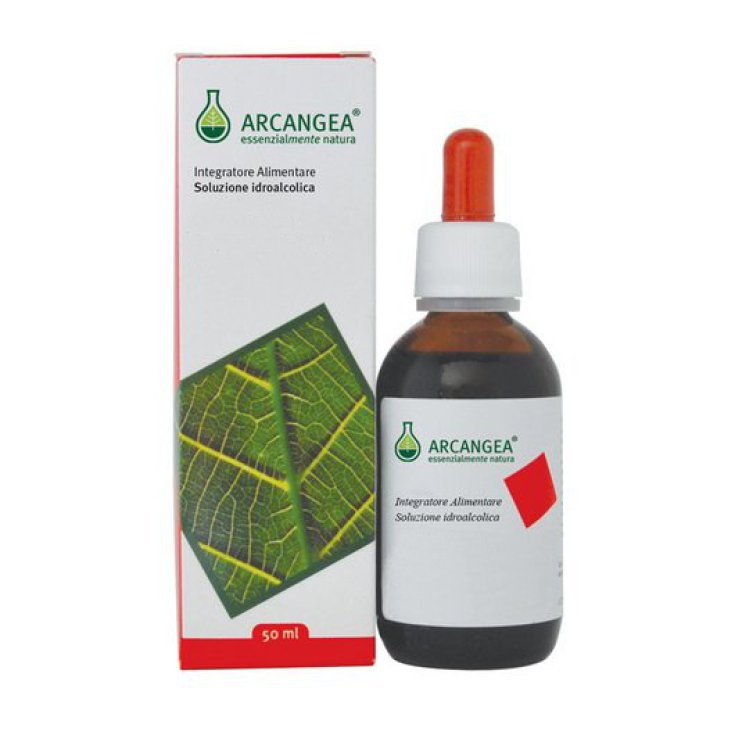 Helichrysum Arcangea® Hydroalkoholische Lösung 50ml