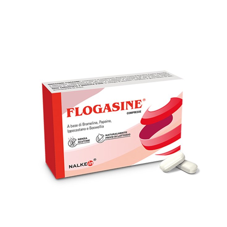 Flogasine® Nalkein® 20 Tabletten
