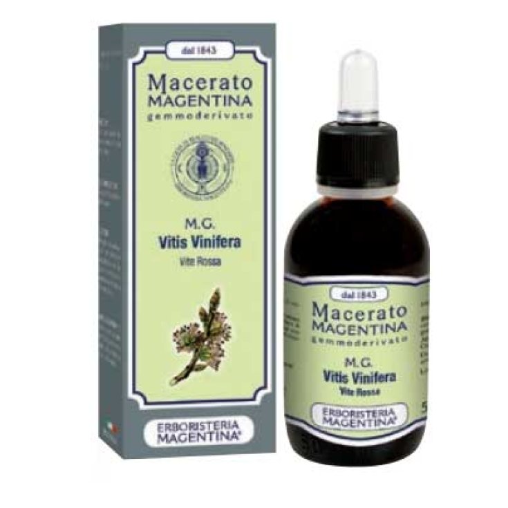 Mazerierte Magentina Vitis Venifera Herbal Magentina® 50ml
