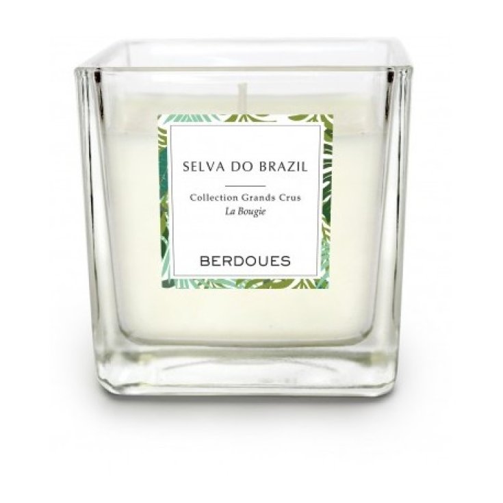 Berdoues Selva Do Brazil Kerze