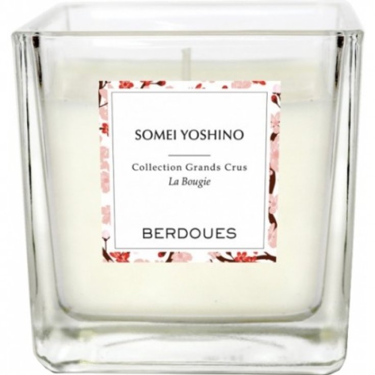 Berdoues Somei Yoshino Duftkerze