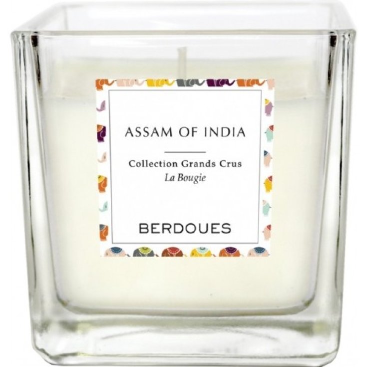 Berdoues Assam of India Duftkerze