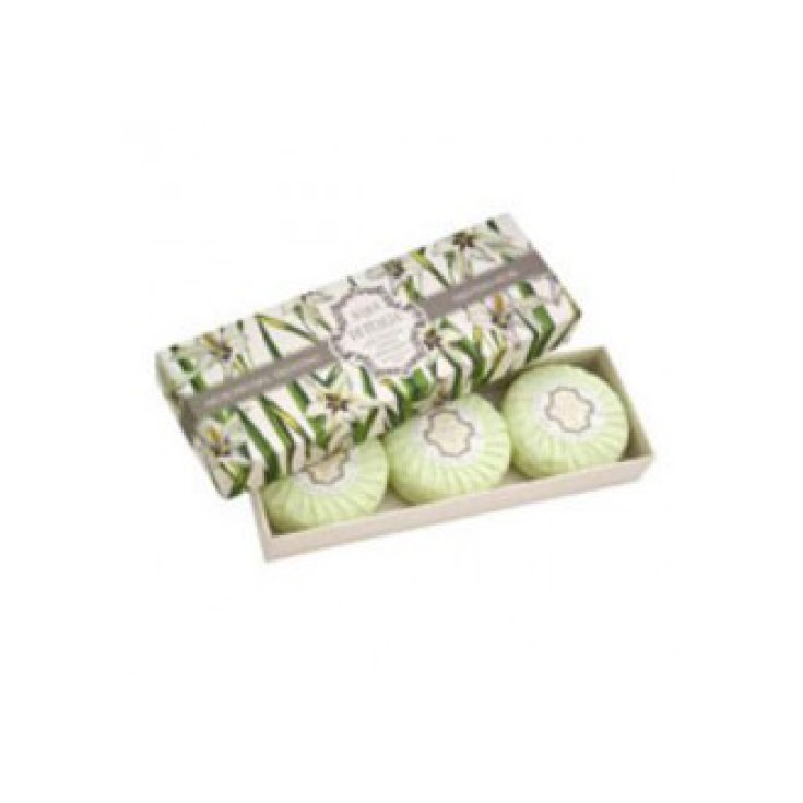 Waters Of Italy Moss of Trentino Schachtel mit 3 Seifen