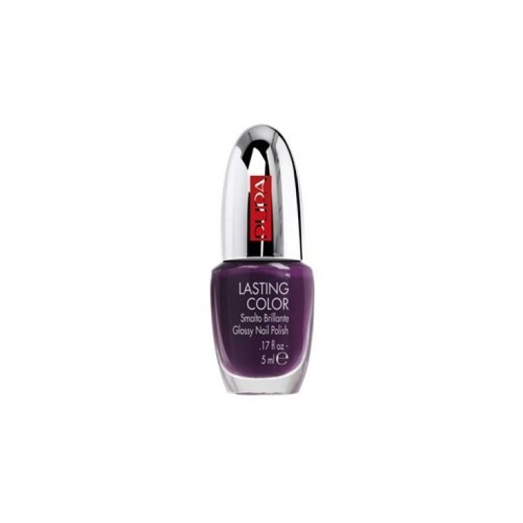 Pupa Long Lasting Shiny Nail Polish 406 Aubergine