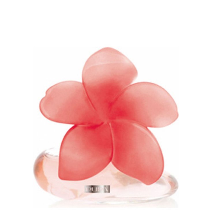 @ PUPA BLUME SEHR 01 TAHITI 50 ML