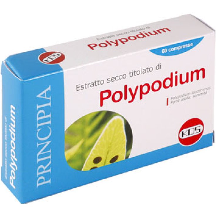 Polypodium Trockenextrakt KOS 60 Tabletten