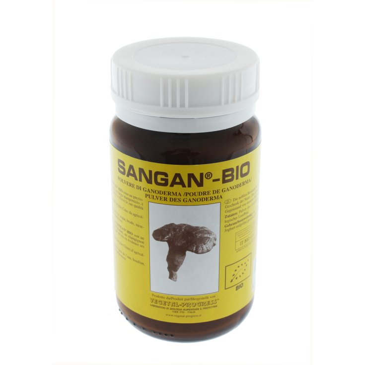 Sangan® BIO Pflanzlicher Fortschritt 62g