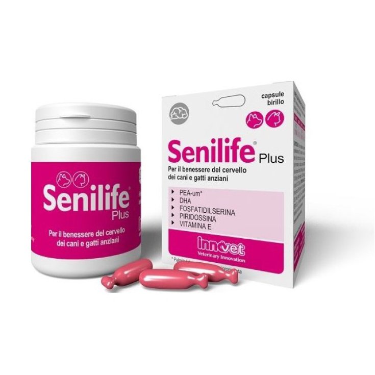 Senilife® Plus Innovet 60 Kapseln