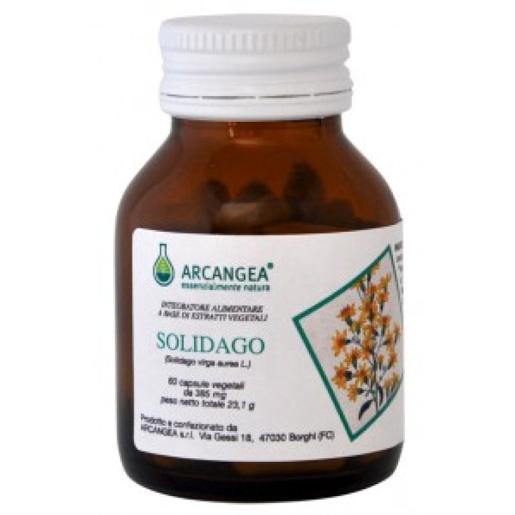 Solidago Bio Arcangea® 60 Kapseln 385mg