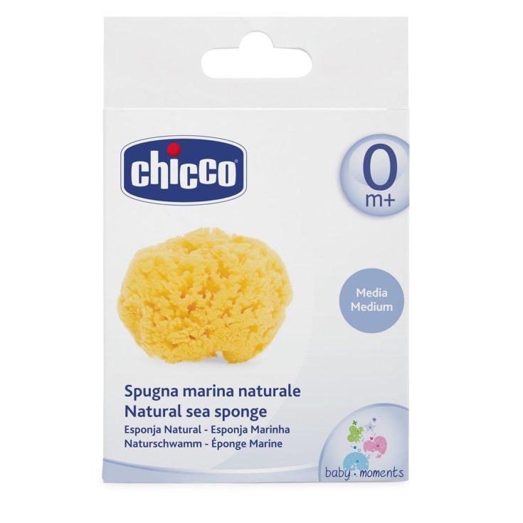 Natürlicher Meeresschwamm - Medium Chicco®