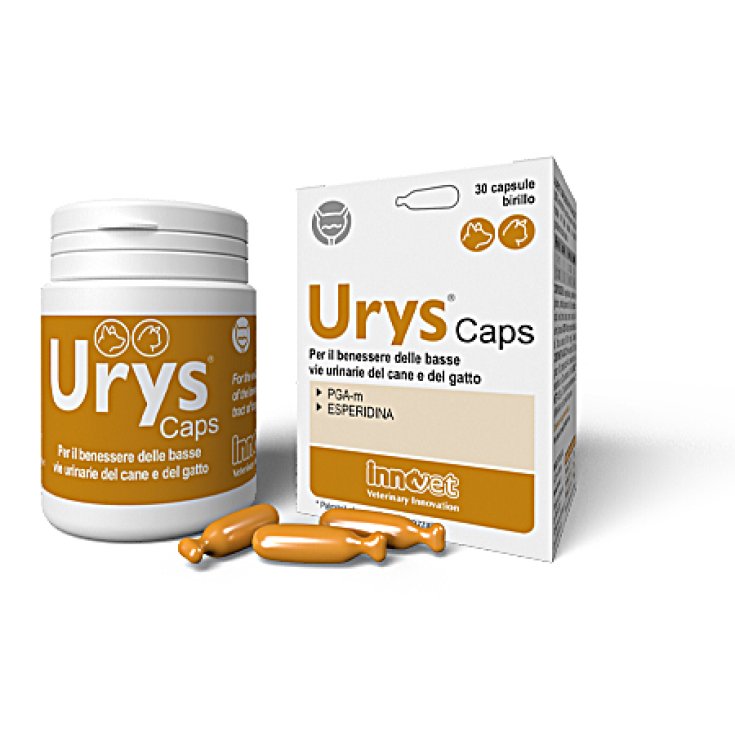 Urys® Caps Innovet 30 Kapseln