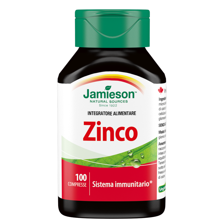 Zink Jamieson ™ 100 Tabletten