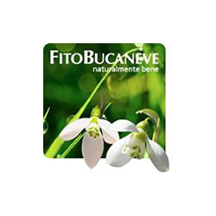 Fitobucaneve Basic Line Gourmandise Black Naturbrille für Presbyopie 2.50