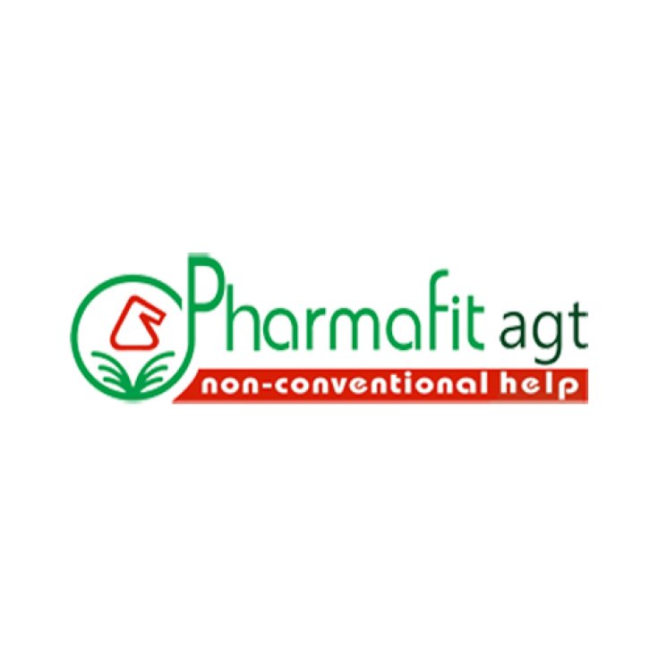Pharmafit Detervit-Shampoo 150ml