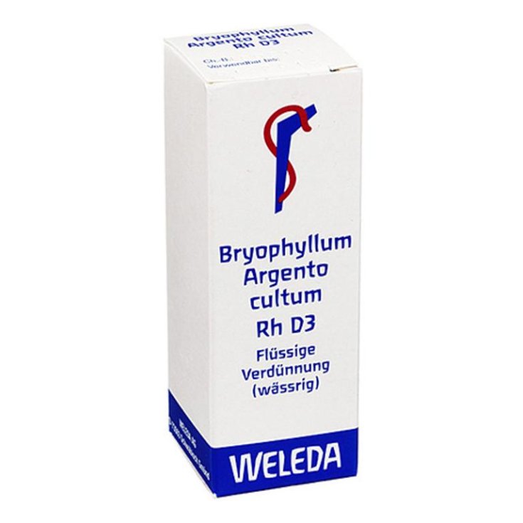 Bryophyllum Silber D3 Weleda 50ml