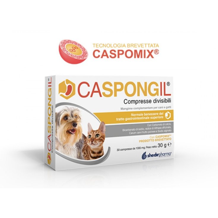 Caspongil® ShedirPharma® 30 teilbare Tabletten