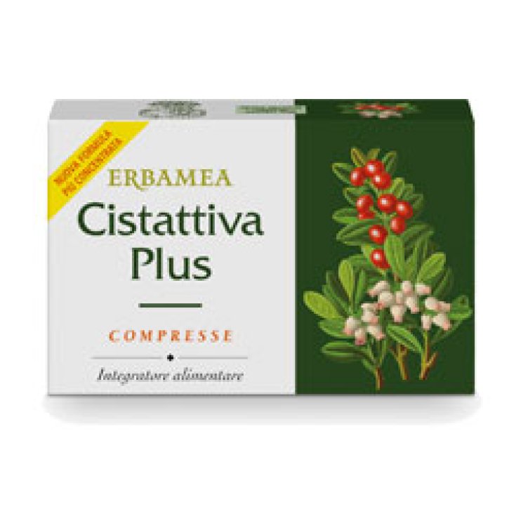 Cistattiva Plus Erbamea 24 Tabletten