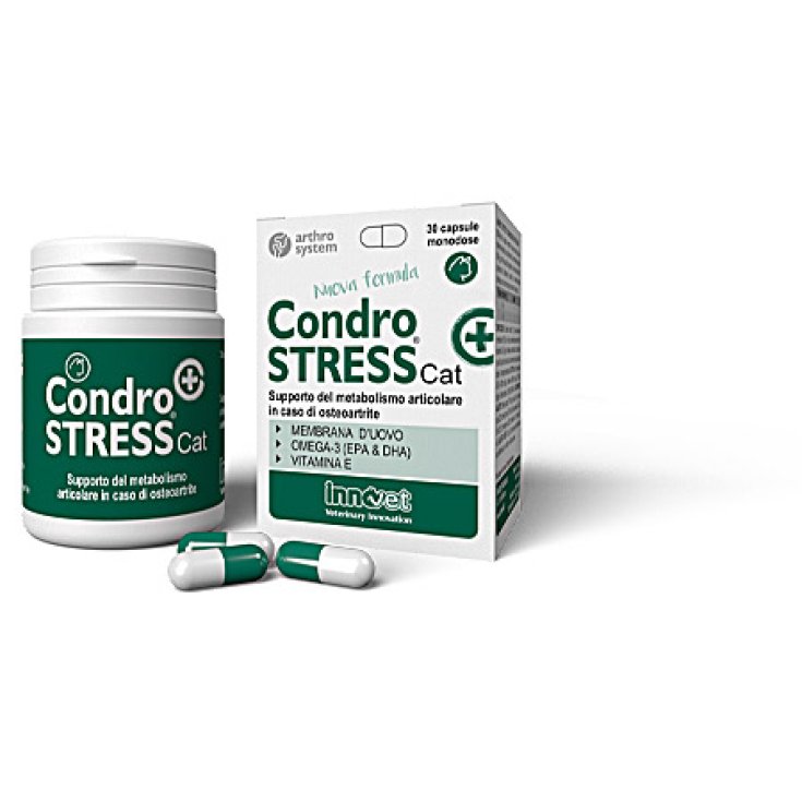 Condrostress® (+) Katze Innovet 30 Kapseln