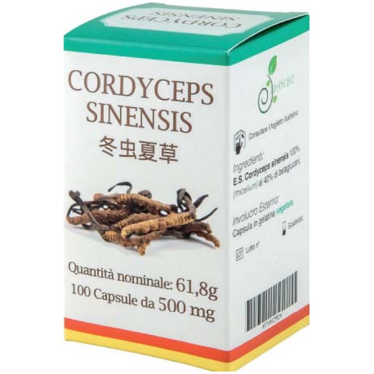 Cordyceps Sinensis ISaniBio 100 Kapseln
