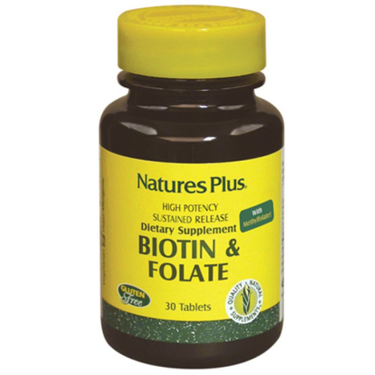 Biotin UND Folat