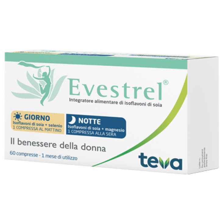 Everstrel Gg / ntt Integrat 60cpr