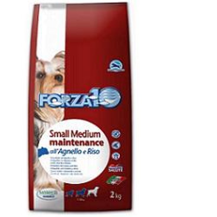 FORZA10 DOG MAINT AGN/RIS 2KG