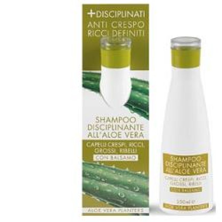 Pflanzer Aloe Sh Disziplinierung