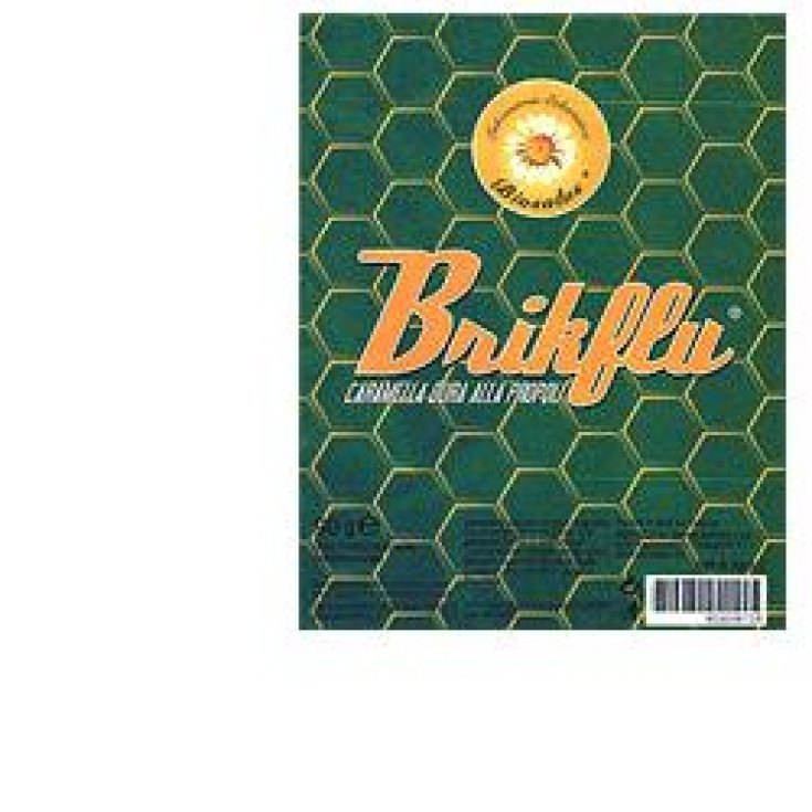 Biosalus® BrikFlu® Propolis Bonbons 90g