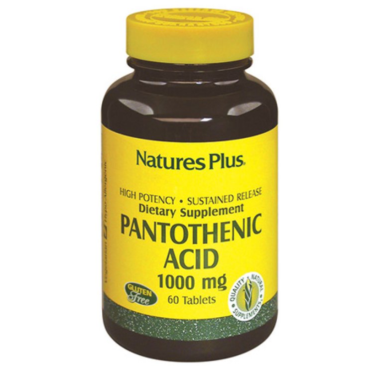 Pantothensäure 1000 mg