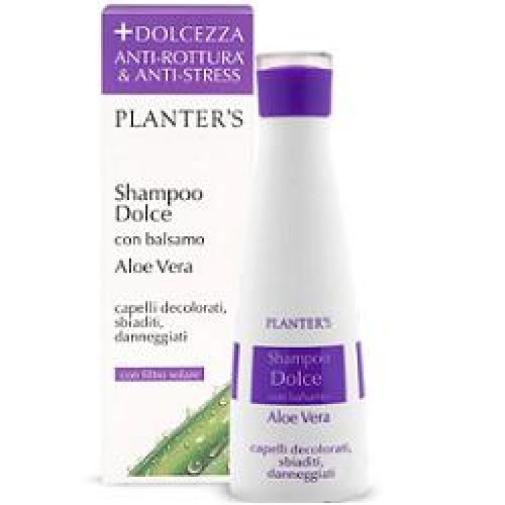 Pflanzgefäße Sh Dolce Aloe Vera