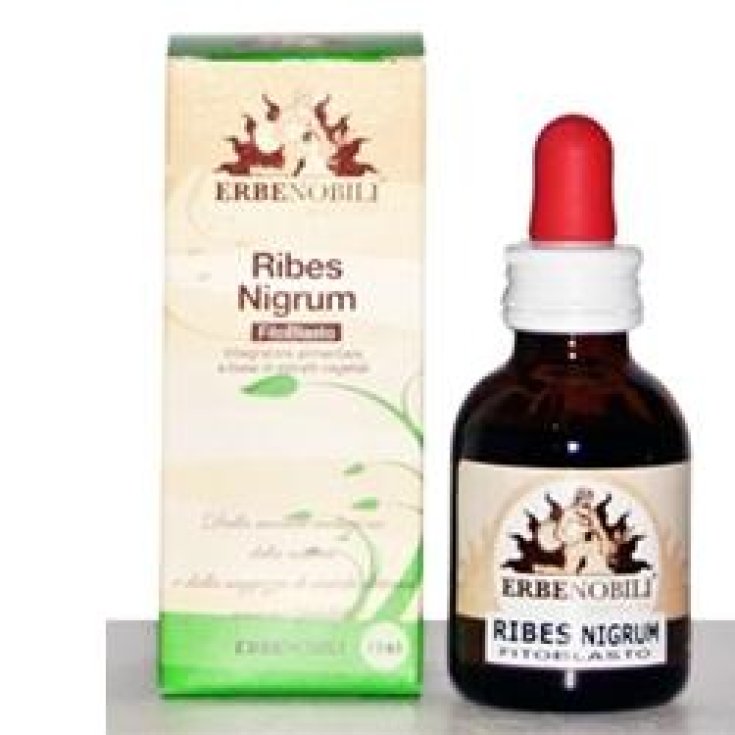 Ribes Nigrum Nahrungsergänzungsmittel 50 ml